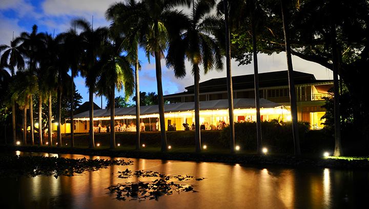 Concerts Under the Stars