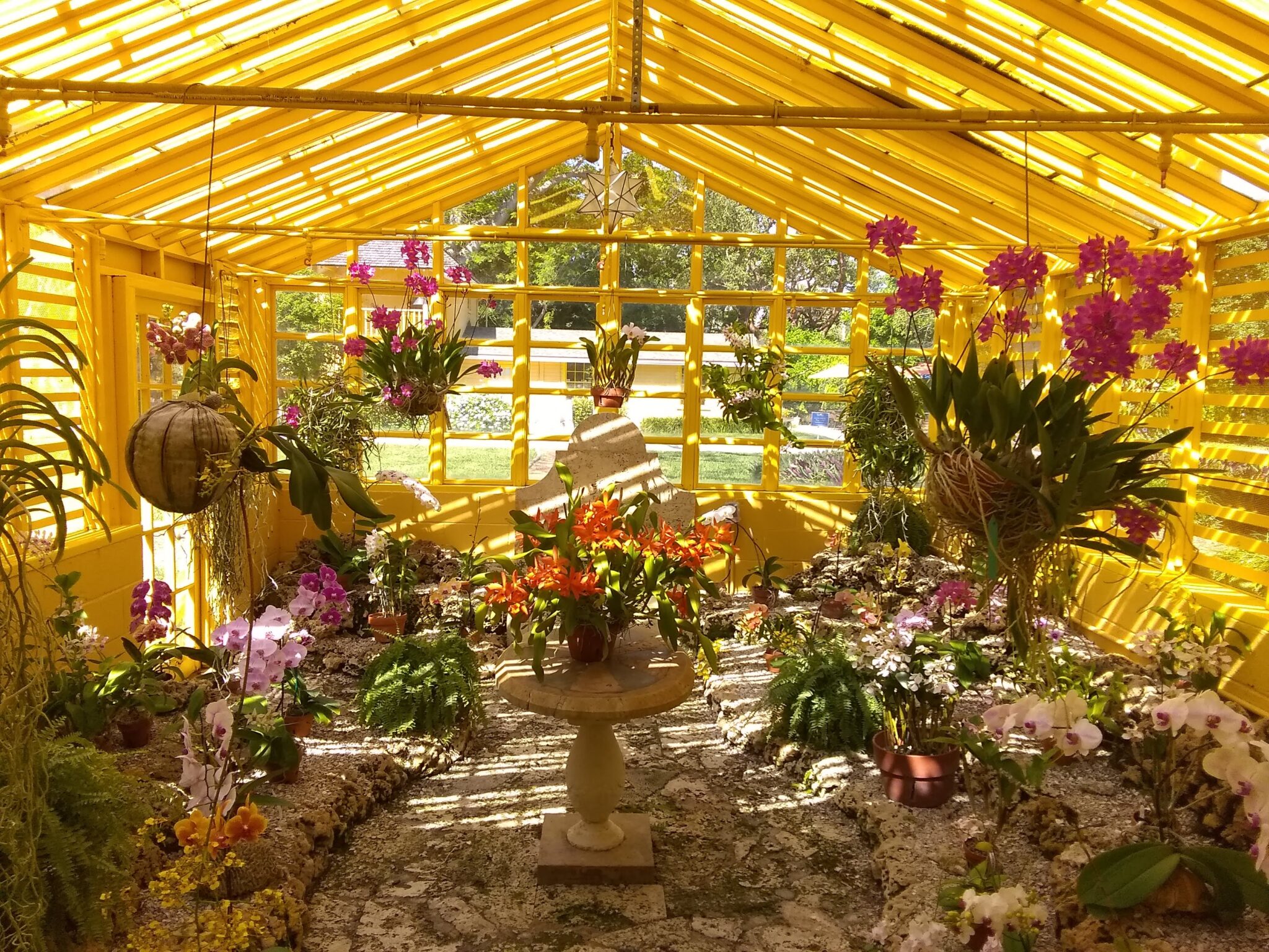 Let Your Curiosity Bloom At House House